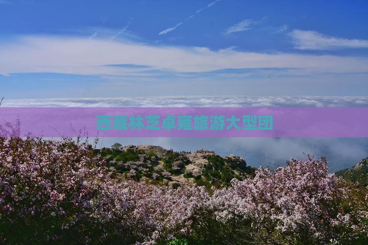 林芝去西藏羊卓雍措大型旅游团