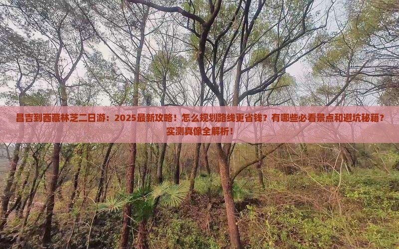 昌吉到西藏林芝二日游
