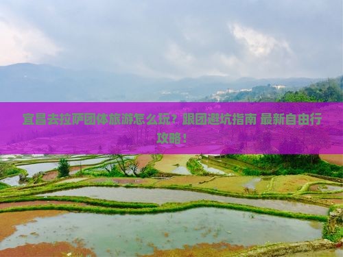 宜昌去西藏拉萨团体旅游