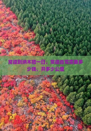 常德到西藏纳木措一日