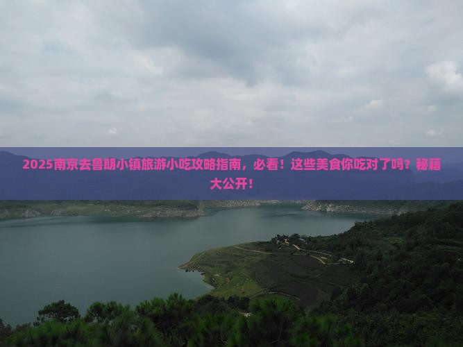 南京去西藏鲁朗小镇旅游小吃
