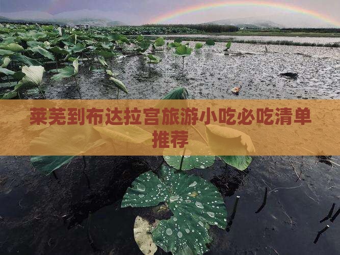 莱芜到西藏布达拉宫旅游小吃