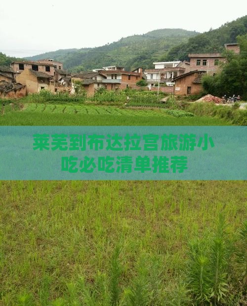 莱芜到西藏布达拉宫旅游小吃