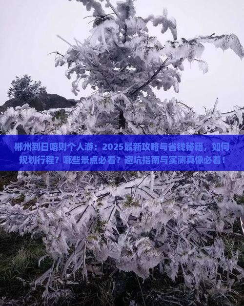 郴州到西藏日喀则个人游