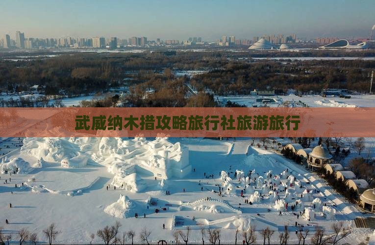 武威去西藏纳木措旅行社