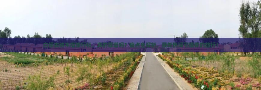 白银去西藏纳木措旅行社