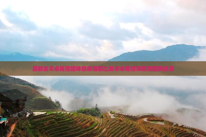 昌都去西藏羊卓雍措团体旅游