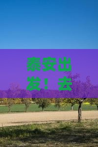 泰安到西藏珠峰大本营二日游