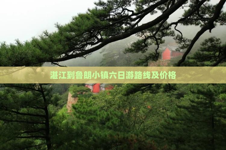 湛江到西藏鲁朗小镇六日游