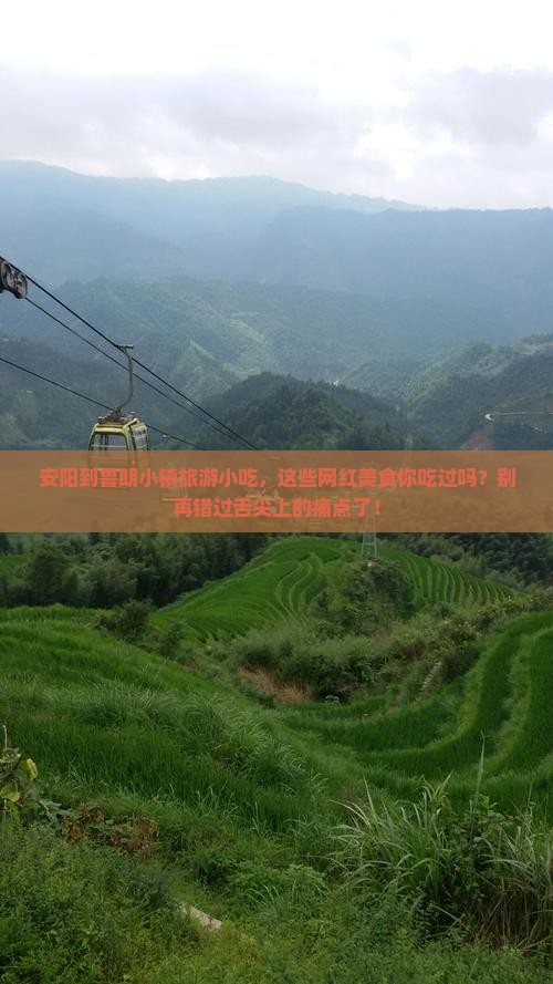 安阳到西藏鲁朗小镇旅游小吃