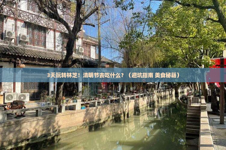 清明节到西藏林芝旅游小吃