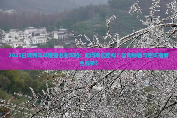 白城到西藏羊卓雍措景点