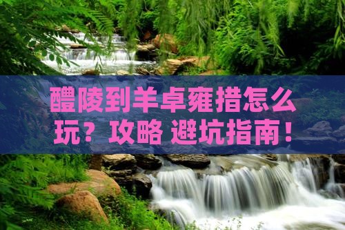 醴陵到西藏羊卓雍措哪里玩