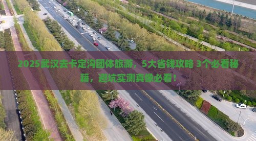 武汉去西藏卡定沟团体旅游