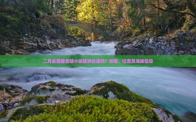 二月去西藏鲁朗小镇旅游