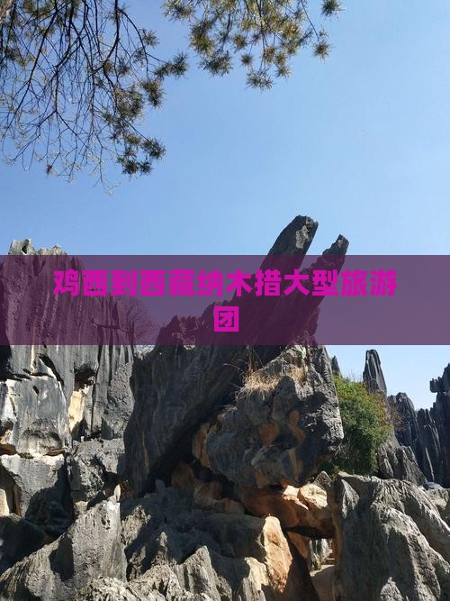 鸡西到西藏纳木措大型旅游团