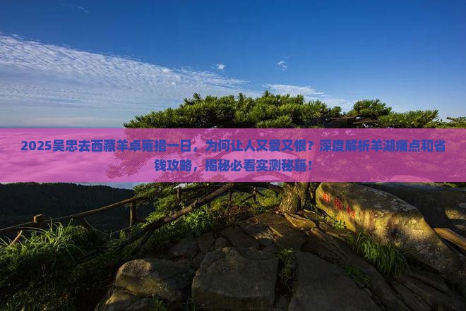 吴忠去西藏羊卓雍措一日