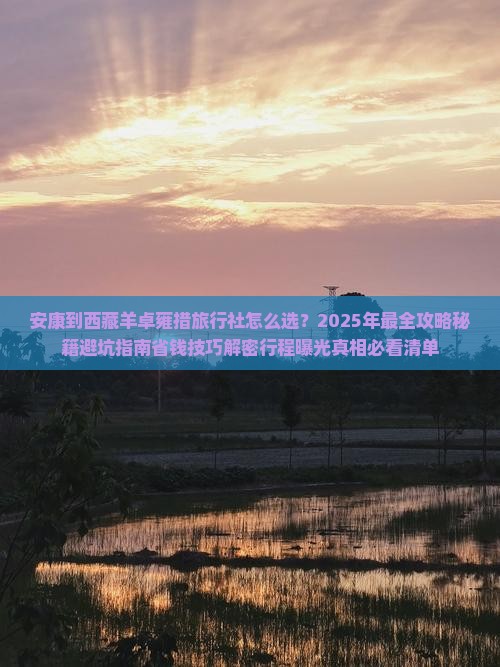 安康到西藏羊卓雍措旅行社