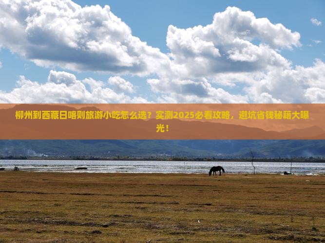 柳州到西藏日喀则旅游小吃