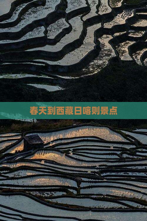春天到西藏日喀则景点