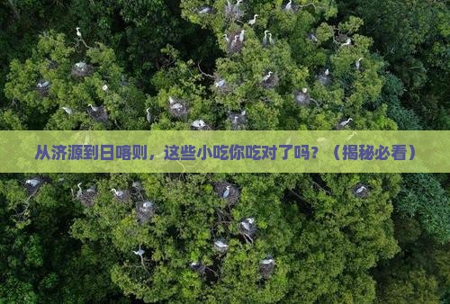 济源到西藏日喀则旅游小吃