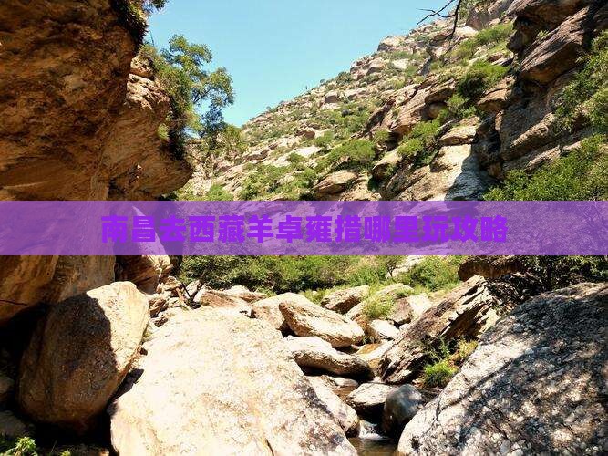 南昌去西藏羊卓雍措哪里玩