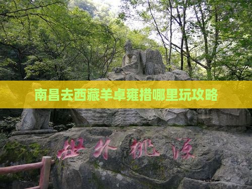 南昌去西藏羊卓雍措哪里玩