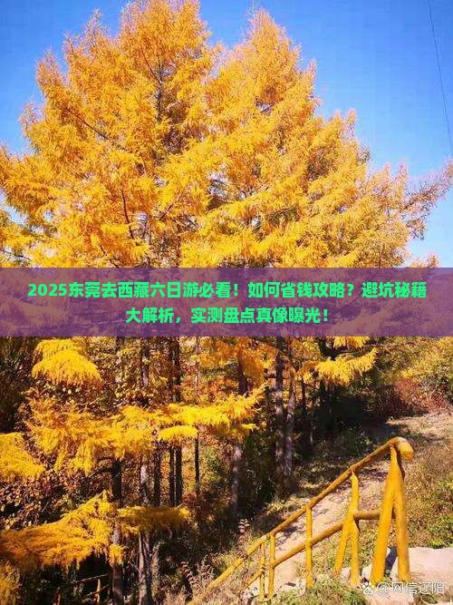 东莞去西藏六日游