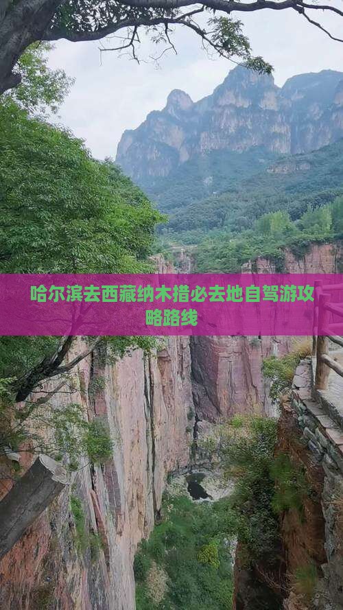 哈尔滨去西藏纳木措必去地