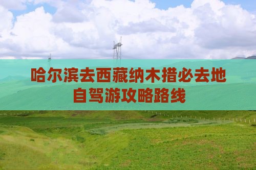 哈尔滨去西藏纳木措必去地