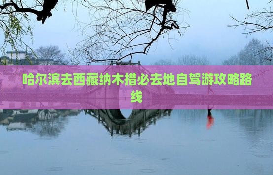 哈尔滨去西藏纳木措必去地