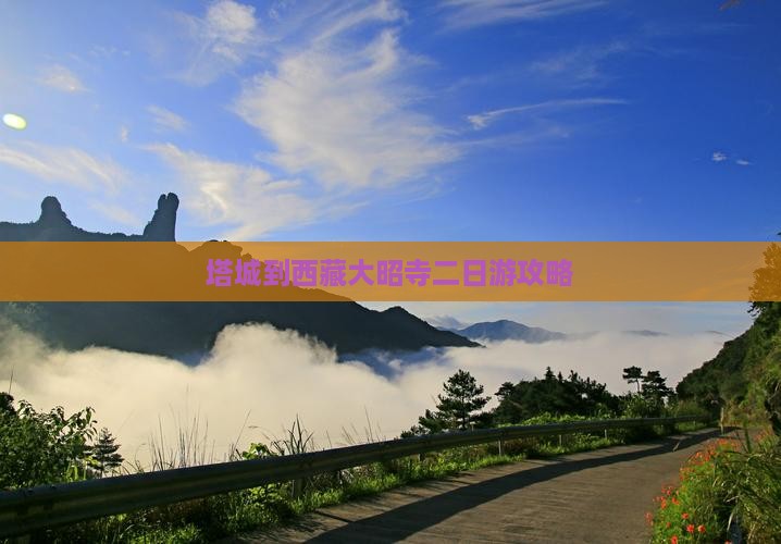 塔城到西藏大昭寺二日游