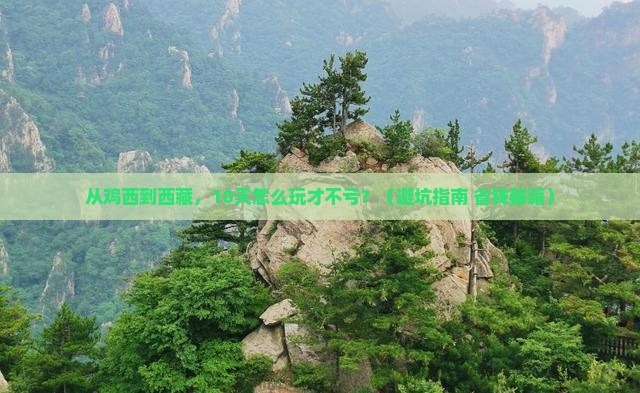 鸡西到西藏大型旅游团