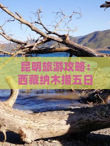 昆明去西藏纳木措五日游