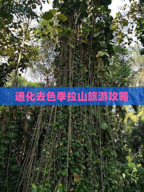 通化去西藏色季拉山自由行
