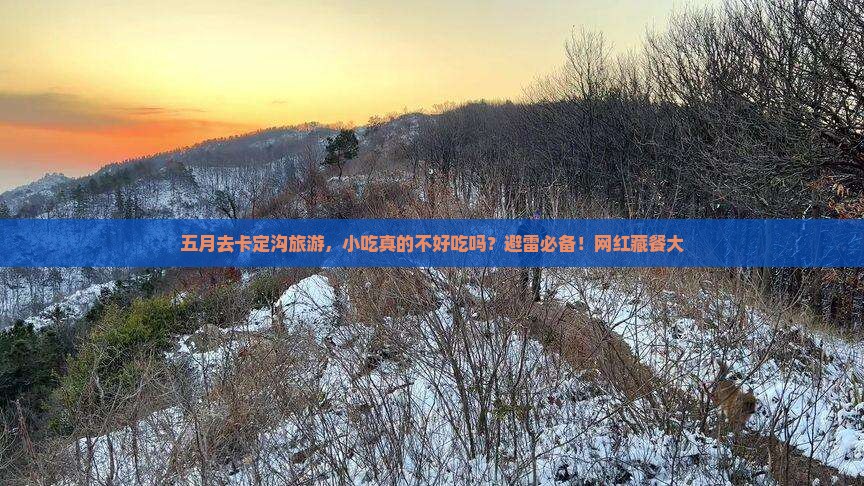 五月到西藏卡定沟旅游小吃
