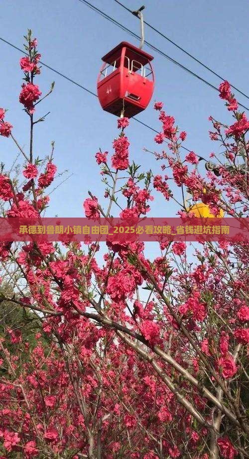 承德到西藏鲁朗小镇自由团