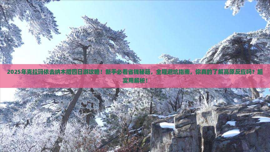 克拉玛依去西藏纳木措四日游