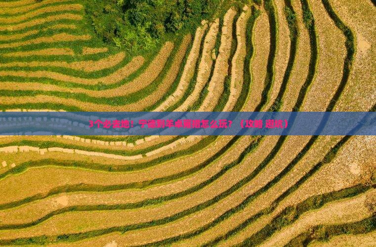 宁德到西藏羊卓雍措必去地