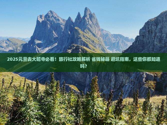 元旦去西藏大昭寺旅行社