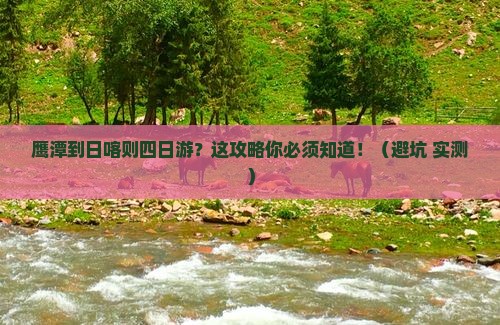 鹰潭到西藏日喀则四日游