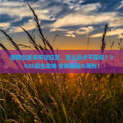 德阳去西藏布达拉宫哪里玩