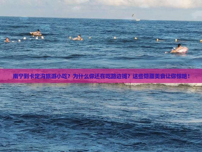 南宁到西藏卡定沟旅游小吃