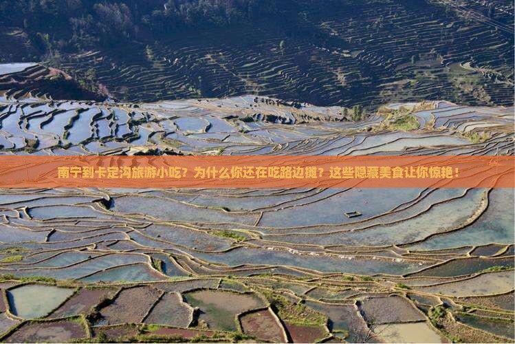 南宁到西藏卡定沟旅游小吃