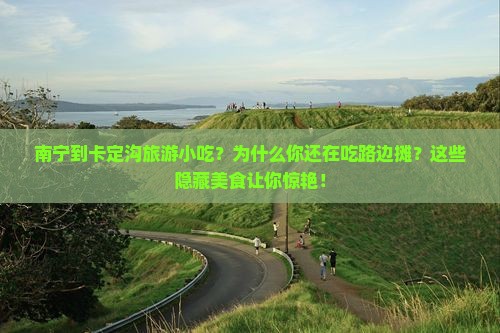 南宁到西藏卡定沟旅游小吃