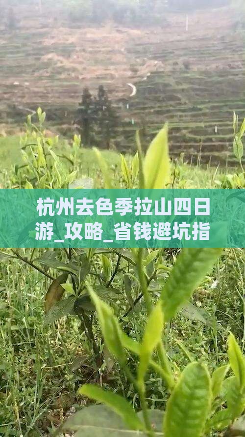 杭州去西藏色季拉山四日游