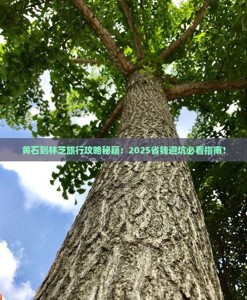 黄石到西藏林芝旅行社