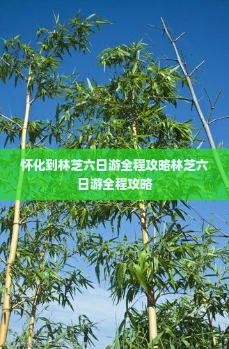 怀化到西藏林芝六日游