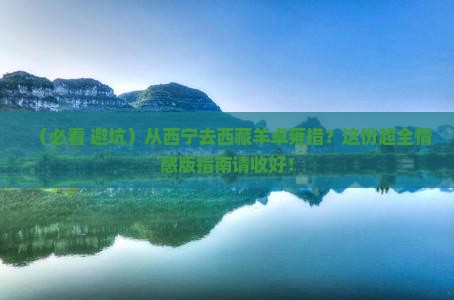 西宁去西藏羊卓雍措必去地