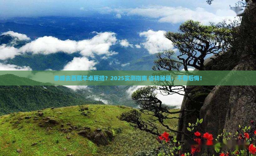 赤峰去西藏羊卓雍措必去地